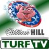 Piggs Peak to close after South African ruling; William Hill hearts TurfTV 