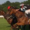 Bookies agree 51st levy scheme at 11th hour