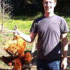 Facebook security flaws see Zuckerberg profile hacked; BlackBerry announce BBX OS rename