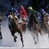 Betting professionals say horse racing is in decline