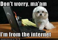 Internet Usage