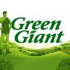 Mr Green recruits another; WorldSpreads revenues up; Betfred ad released