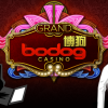 Celebrate the New Year with a new Bodog Asia Casino Career