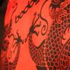 Bodog Social & Product Launch - Year of the Dragon 2012