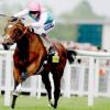 Frankel is officially the best horse in the world