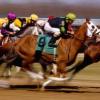 US horse betting sees first significant increase in three years