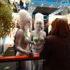 London Affiliate Conference 2012 