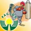 Topless girls found in Bangkok; PAGCOR to broadcast cockfights?