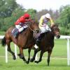 72% of Georgians want to legalise racetrack betting