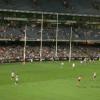 AFL player agents will be subject to betting controls