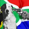South Africa wants dog racing, too bad nobody else does