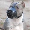 Philippine authorities nab eight Koreans for running dog-fighting operation