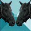 HORSERACING: Phumelela profits; Iowa’s ADW debut; New Mexico gets strict