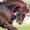 Kentucky Derby’s two minutes of excitement can’t mask racing’s problems