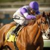 I’ll Have Another ‘wins another’ with Preakness victory