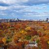 Wynn gets new shag pad; Foxwoods revenues down; Penn. stock rises; Paulson confirms Caesars stake