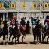 Gambling thriving at Baghdad Equestrian Club