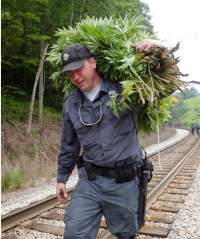 policeman, marijuana haul