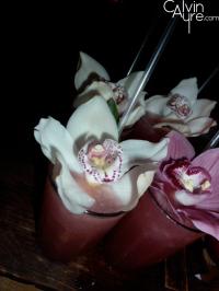 Bodog Affiliate Social Party at Tiki