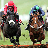 bookies-violated-cheltenham