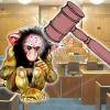 patent troll court rulings