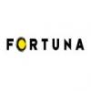 fortuna entertainment group