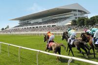 Arlington Park racetrack