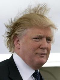 Donald Trump wind