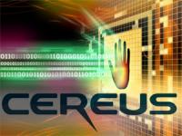 Cereus Poker Network