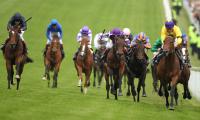 Horseracing fixtures