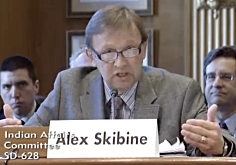 alex skibine