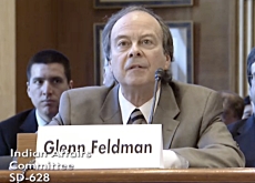 glenn-feldman