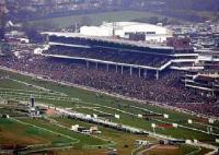 cheltenham grandstand