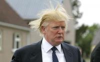 donald trump hair