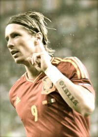 Fernando Torres Spain Euro 2012