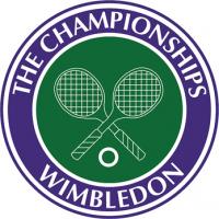 wimbledon semi finals novak roger andy jowilfrid