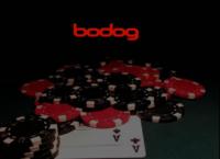 bodog