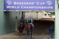 breeders cup