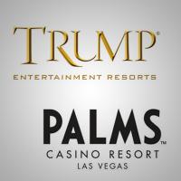 palms gets fined trump new ceo