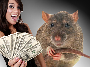 rats-problem-gambling