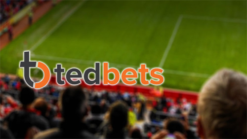 Innovation in iGaming Profiles: Tedbets