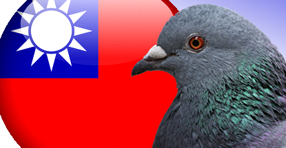 taiwan-pigeon-betting