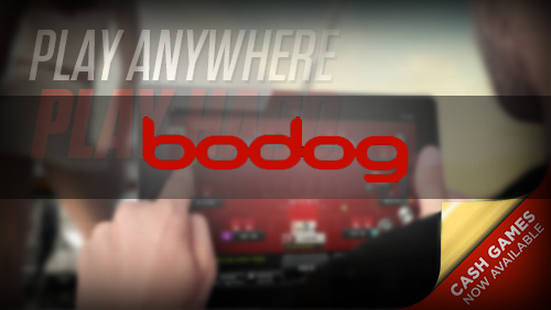 Bodog Poker: cash games are now mobile