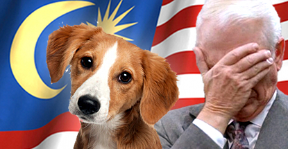 malaysia-gambling-dog-petting-tornadoes