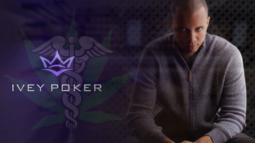 Ivey Poker Taking a Sabbatical Whilst Ivey Pursues Marijuana License