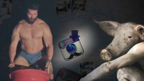 Dan Bilzerian: Man, Myth or Misogynist?