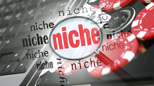 Online Poker – Unleash the Niche