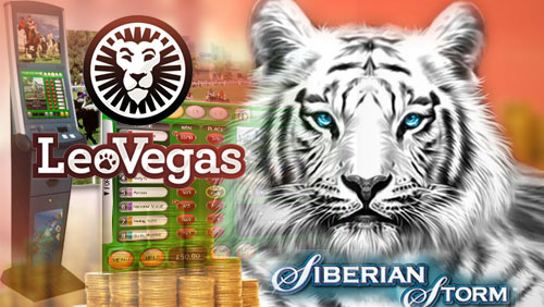 LeoVegas £570K Online Slots Winner Wants to Set Up His Own Betting Business