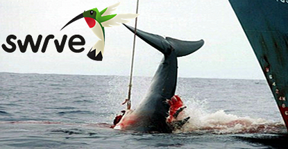 swrve-mobile-gaming-whales