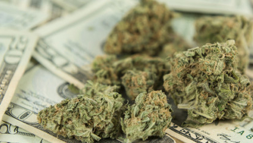 Marijuana and Gambling, Essential Ingredients for Competitive Capital Markets
